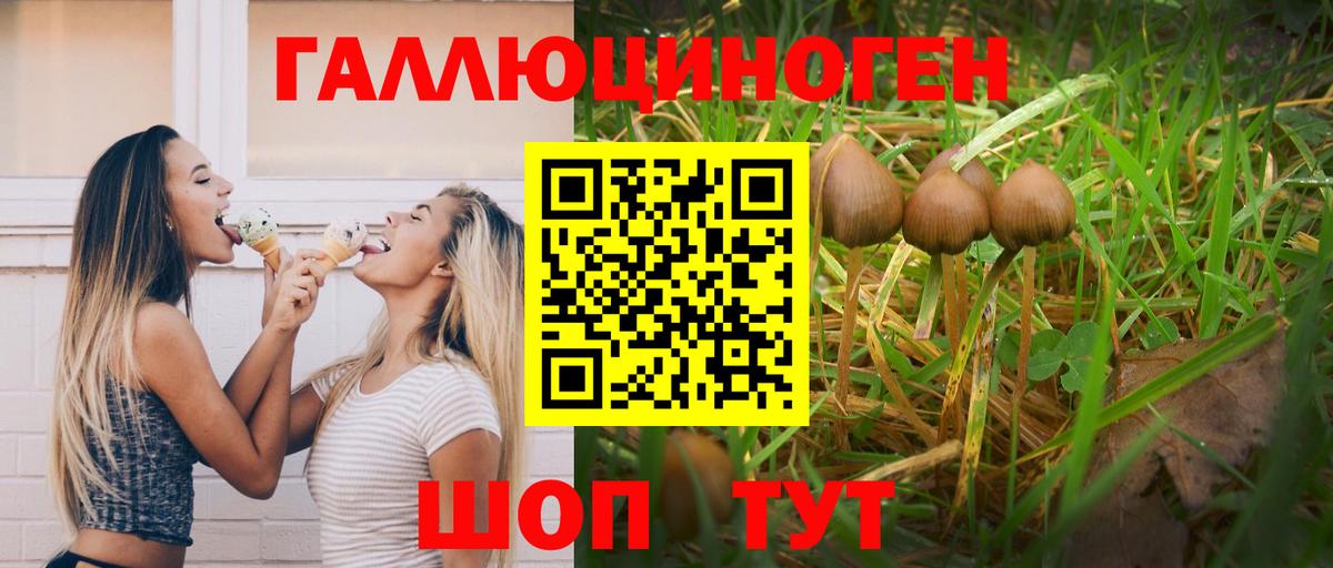Галлюциногенные грибы Magic Shrooms Владивосток
